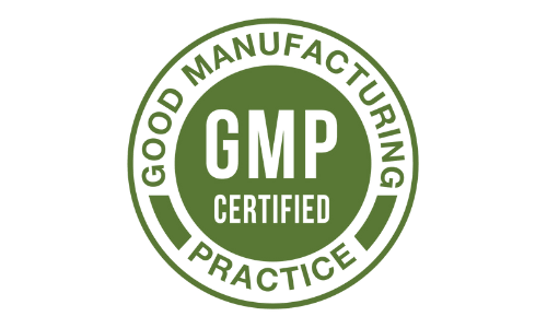 RingZen6 RingZen6 GMP Certified